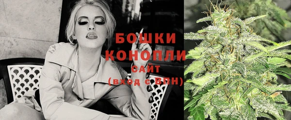 ПСИЛОЦИБИНОВЫЕ ГРИБЫ Нижний Тагил