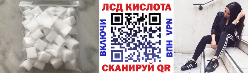 даркнет сайт  нарко площадка как зайти  ЛСД экстази ecstasy  Бокситогорск 