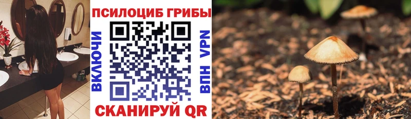 Псилоцибиновые грибы мухоморы  Бокситогорск 